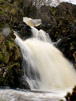 Falls xx